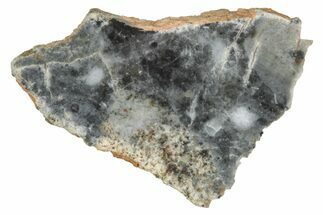 Lunar Meteorite ( g) Slice - Bechar #348216