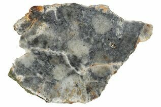 Bechar 003 Meteorites For Sale