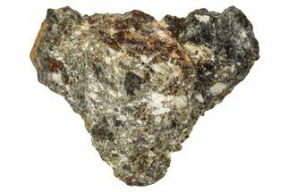 Howardite Meteorite ( g) - Bechar #348248