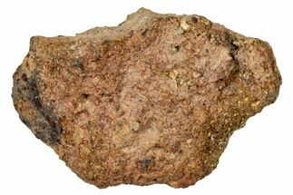 Howardite Meteorite ( g) - Bechar #348283