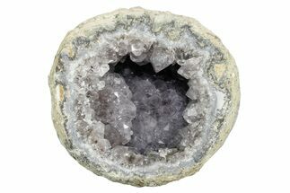 Las Choyas Coconut Geode Half with Smoky Quartz - Mexico #348471