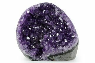 Free-Standing Amethyst Crystal Cluster - Uruguay #348636