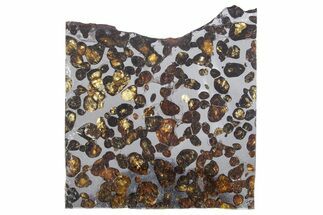 Polished Sericho Pallasite Meteorite ( g) Slice - Kenya #348913