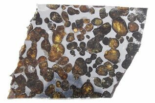 Sericho Pallasites For Sale