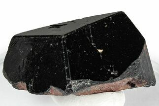 Lustrous Black Tourmaline (Schorl) Crystal - Namibia #348749