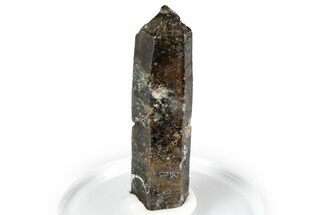 Smoky Quartz Crystal with Black Aegirine Inclusions - Malawi #348756