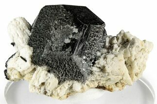 Lustrous Black Tourmaline (Schorl) Crystal on Feldspar - Namibia #348765