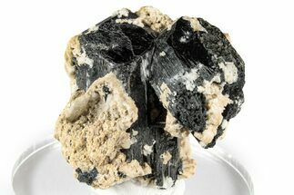 Lustrous Black Tourmaline (Schorl) Crystals on Feldspar - Namibia #348773