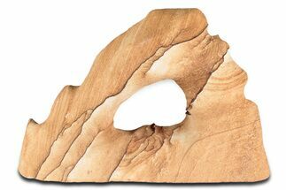 Wide Picture Sandstone Arch - Arizona #349176