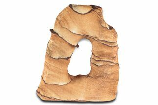 Tall Picture Sandstone Arch - Arizona #349182