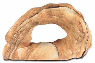 Wide Picture Sandstone Arch - Arizona #349189