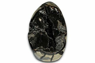 Free-Standing, Polished Septarian Geode - Black Crystals #348951