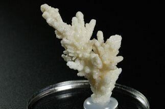 Intricate, Fluorescent Aragonite Formation - Nevada #349548