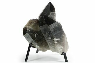 Dark Smoky Quartz Crystal Cluster on Metal Stand - Brazil #349476