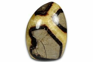 Free-Standing, Polished Septarian - Madagascar #349882