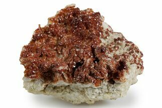 Glittering Ruby Red Vanadinite Crystals on Barite - Morocco #349423