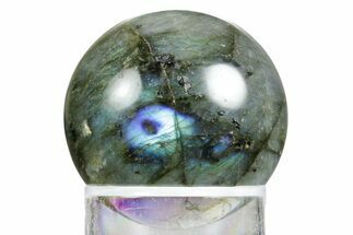 Flashy, Polished Labradorite Sphere - Great Color Play #350064