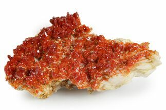 Glittering Ruby Red Vanadinite Crystals on Barite - Morocco #349450