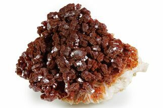 Glittering Ruby Red Vanadinite Crystals on Barite - Morocco #349454