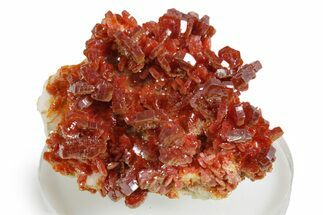 Glittering Ruby Red Vanadinite Crystals on Barite - Morocco #349459