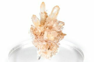 Sparkling Orange Creedite Crystal Cluster - Durango, Mexico #348130