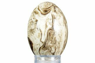 Swirling Polished Chocolate Calcite Egg - Pakistan #350177