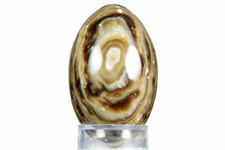 Swirling Polished Chocolate Calcite Egg - Pakistan #350182