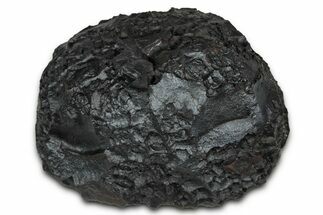 Dragon Scale Stone (Iron, Manganese, Siderite Nodule) #350189