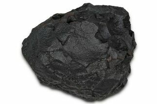 Dragon Scale Stone (Iron, Manganese, Siderite Nodule) #350191