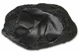 Dragon Scale Stone (Iron, Manganese, Siderite Nodule) #350201