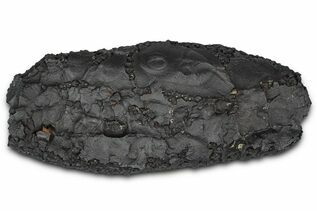 Buy Dragon Scale Stone