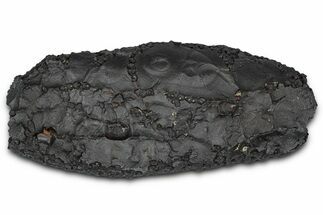 Dragon Scale Stone (Iron, Manganese, Siderite Nodule) #350210