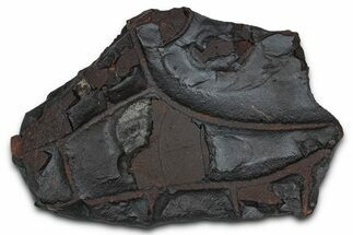 Dragon Scale Stone (Iron, Manganese, Siderite Nodule) #350218