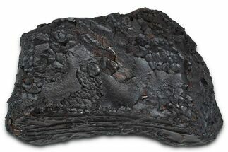 Dragon Scale Stone (Iron, Manganese, Siderite Nodule) #350220