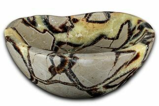 Eye-Eatching, Polished Septarian Dish - Madagascar #350227