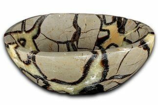 Eye-Eatching, Polished Septarian Bowl - Madagascar #350237