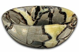 Eye-Eatching, Polished Septarian Bowl - Madagascar #350241