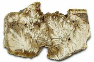 Polished Barite Slab - Lubin Mine, Poland #348885