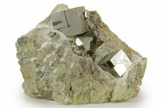 Six Shiny Natural Pyrite Cubes in Rock - Navajun, Spain #325112