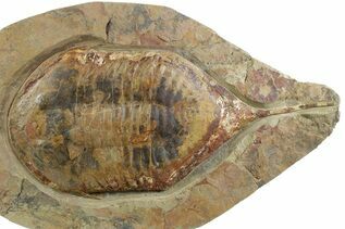 Recently Added For Sale