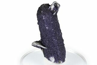 Purple Fluorite Encrusted Quartz Crystal - New Find! #350641