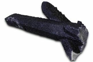 Dark Purple Fluorite Encrusted Quartz Crystals - New Find! #350678