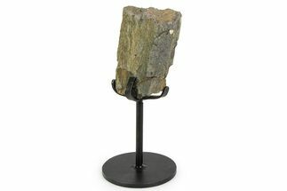 Fossil Theropod Rib Section w/ Metal Stand - Colorado #350608