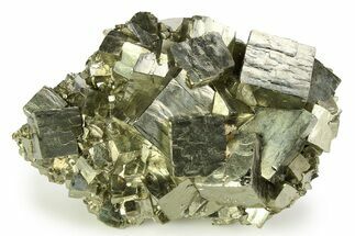 Gleaming Cubic Pyrite Crystal Cluster - Peru #350809