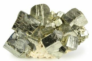 Gleaming Cubic Pyrite Crystal Cluster - Peru #350810