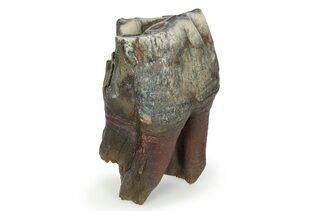 Recently Added For Sale