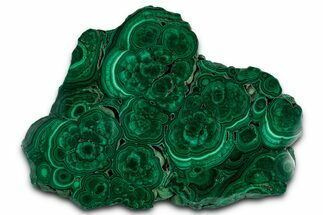 Flowery Polished Malachite Slab - DR Congo #350819