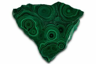 Flowery Polished Malachite Slab - DR Congo #350821