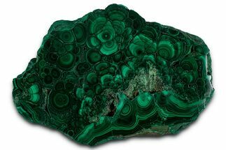 Flowery Polished Malachite Slab - DR Congo #350842