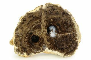 Recently Added For Sale